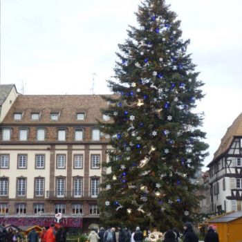 établissement Bellevue voyage Strasbourg 2011/2012 - 3